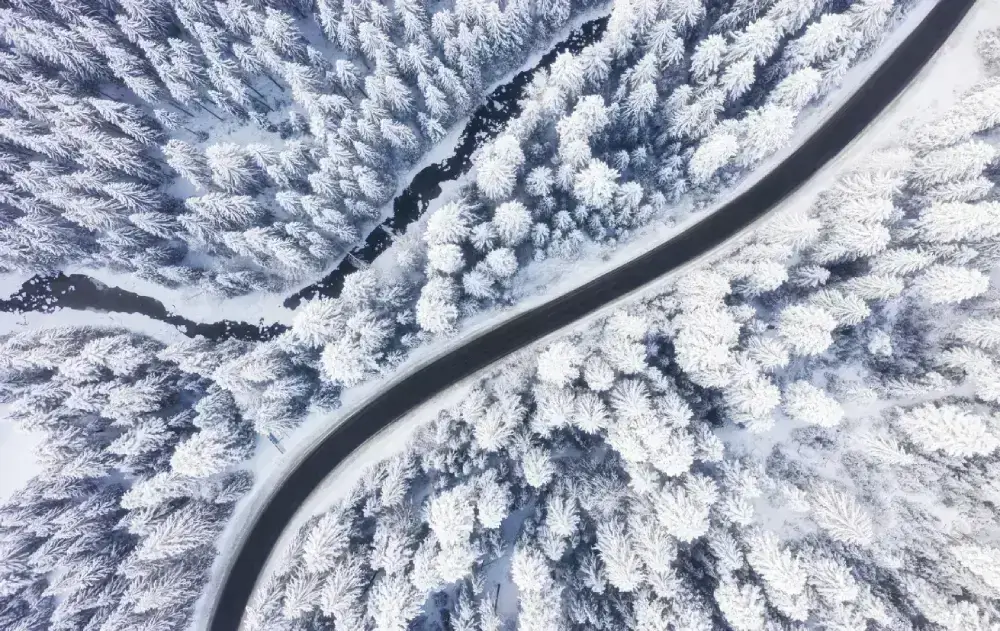 Aerial view of a road in a forest during winter