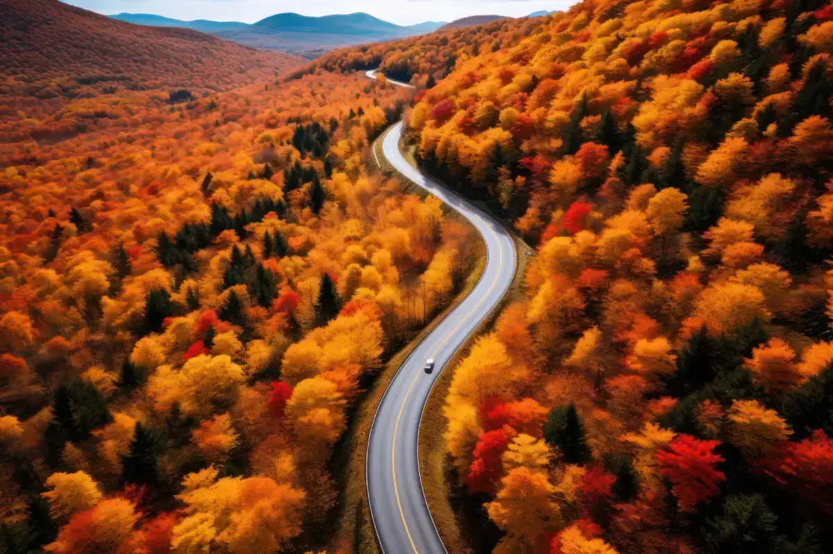 winding road with cars driving through hills of fall trees